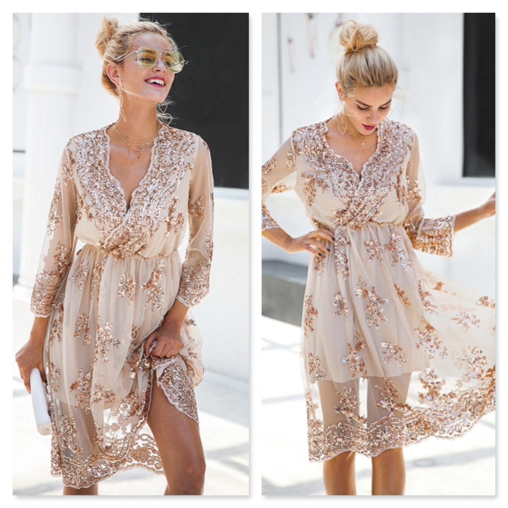 Tan Midi V-Neck Mesh Dress with Rosegold Sequins - Picture 2 of 13